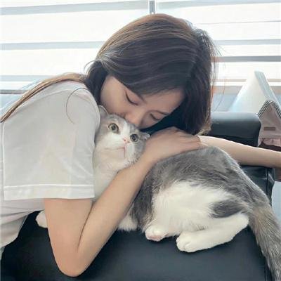影与雾