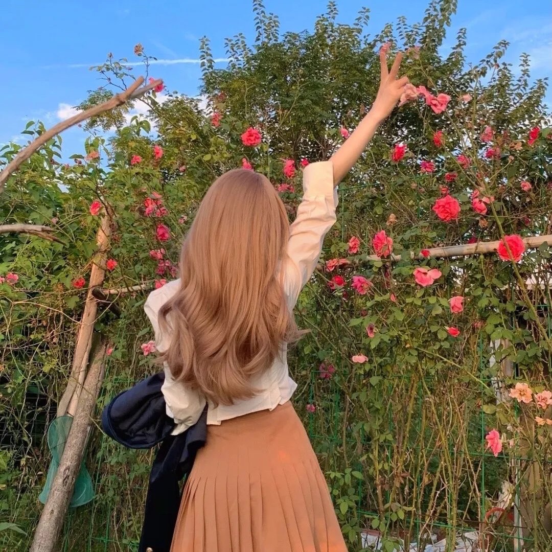 女王蜂游戏